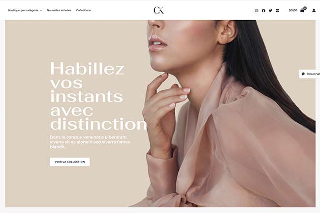 template de site e-commerce